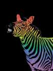 Cheeky Zebra In Rainbow Art Print