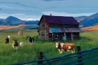 Grazing Cattle Art Print