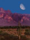 Cactus In The Mountains Moonrise Art Print