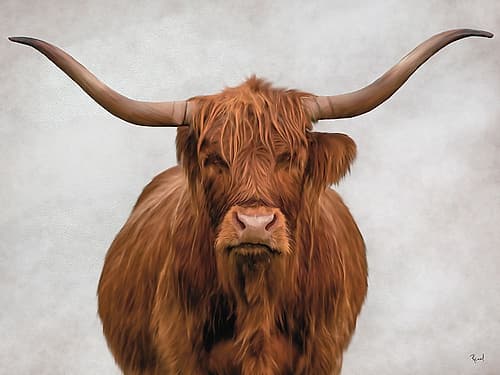 Showing Off The Horns 2 Animals Print