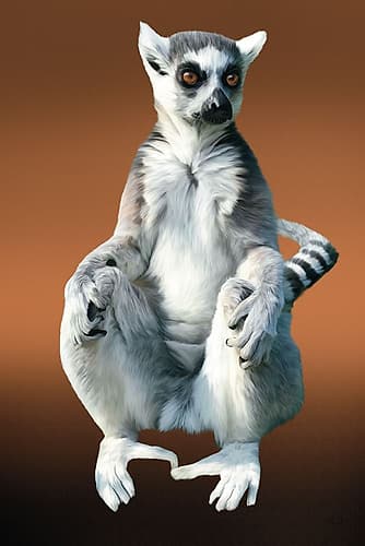 Lemur On Linen Animals Print