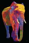 Elephant In Full Color On Black Art Print