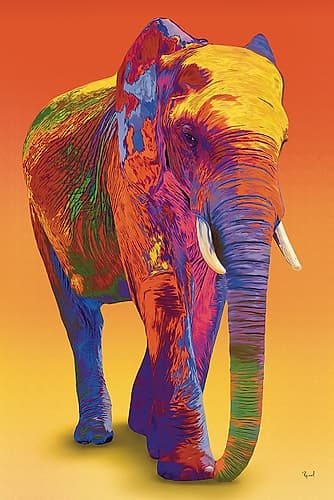 Elephant In Full Color Animals Print