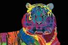 Stripes In Full Color On Black Art Print