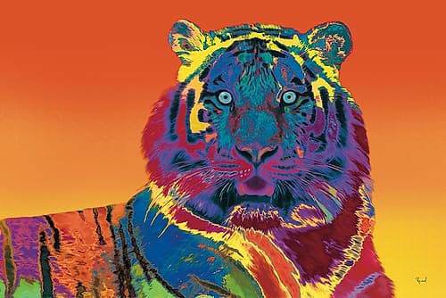 Stripes In Full Color Animals Print