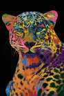 Wild Spots In Full Color On Black Art Print