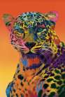 Wild Spots In Full Color Art Print