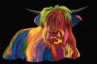 Highland Cow In Full Color On Black Art Print