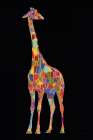 Standing Tall Colorful On Black Art Print