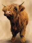 Mini_Highland Cow Neutral Background Art Print