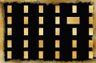 Out By One Golden Art Print