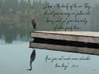 Look At The Birds Art Print