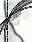 Bound In Black And White Art Print
