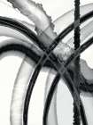 Free In Black And White Art Print