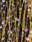 Spring  Blossoms 1 Art Print
