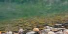 Reflective Lake Pebbles Art Print