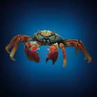 Crab Coastal Print
