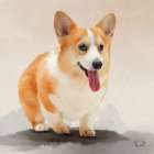 Corgi Art Print