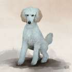Poodle Art Print