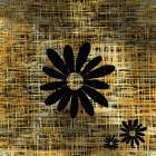 Black Daisy On Gold Art Print