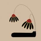 Drooping Coneflowers 1 Art Print