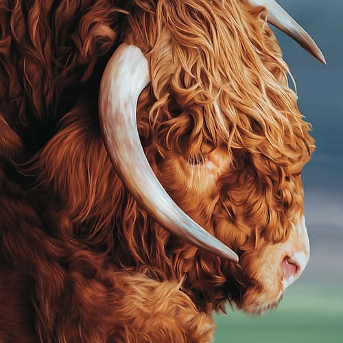 Up Close With Highland Cows 1 Art Print by Kristel Peters