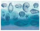Watercolor Coast Shells 2 Art Print