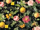 Botanical Flowers Art Print