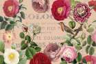 Dusty Rose Art Print