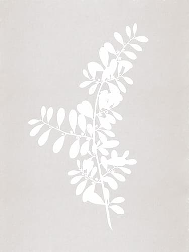 Clean Comforts Twigs 2 Art Print by Lula Bijoux And Company