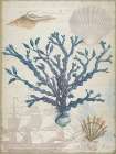 Coastal Coral 2 Art Print