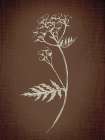 Moody Floral 1 Art Print