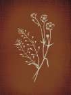 Moody Rust Floral 1 Art Print