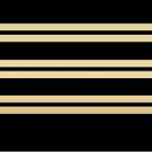 Geo Black and Gold 4 Black & White Print
