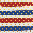 Stripe Coordiate 1 Art Print