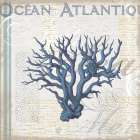 Coastal Coral Art Print