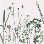 Green Flower Spray 1 Art Print by Urban Epiphany