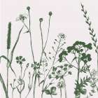Green Flower Spray 2 Art Print
