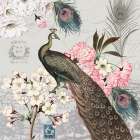 Peacock Pastels 2 Art Print