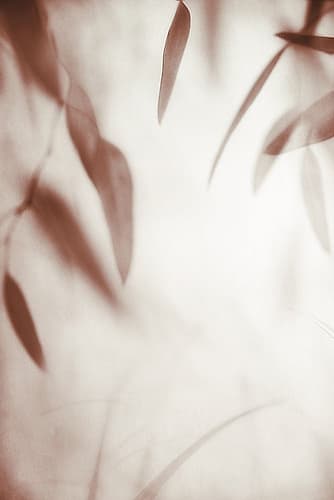 Moody Rhythm 2 Art Print