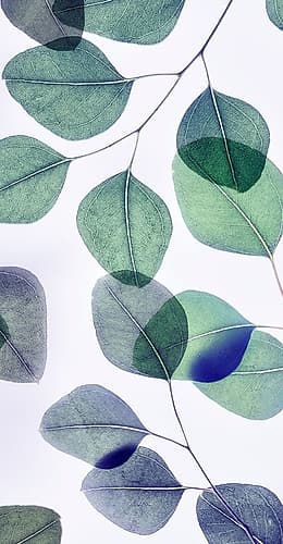 Vibrant Leaves 4 Minimalist Print