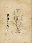 Prune Art Print