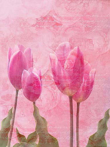 Tulip Love 2 Art Print
