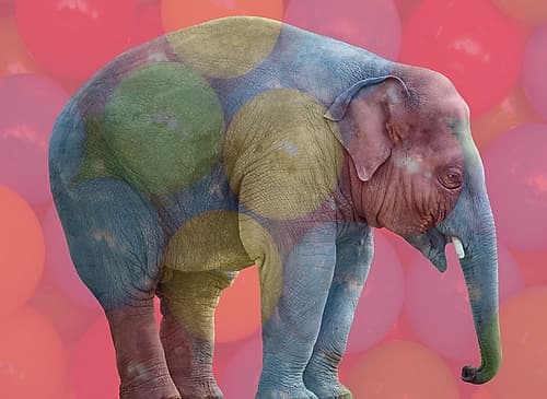 Playpen Elephant Kids Print