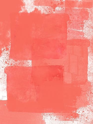 Coral Peddle Art Print by Sheldon Lewis
