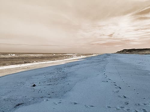 Pacific Bay Coastal Print