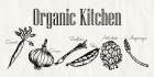Organic Kitchen Kitchen Print