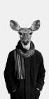 Big Buck BW Art Print