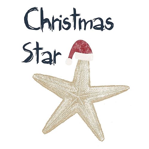 Christmas Star Art Print