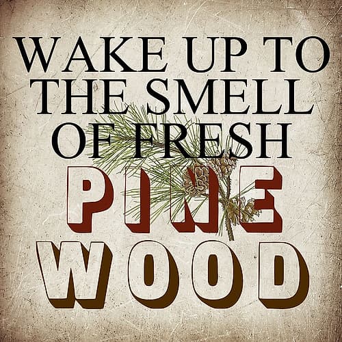 Pine Wood Art Print by Sheldon Lewis